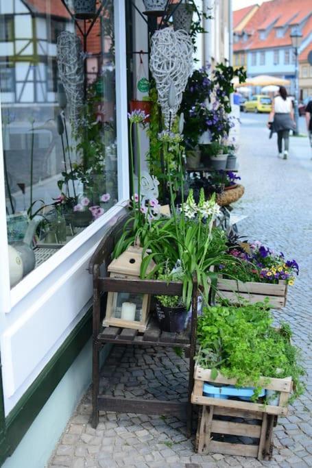 Schoene Ferienwohnung Mit Zwei Schlafzimmern Кведлинбург Екстериор снимка